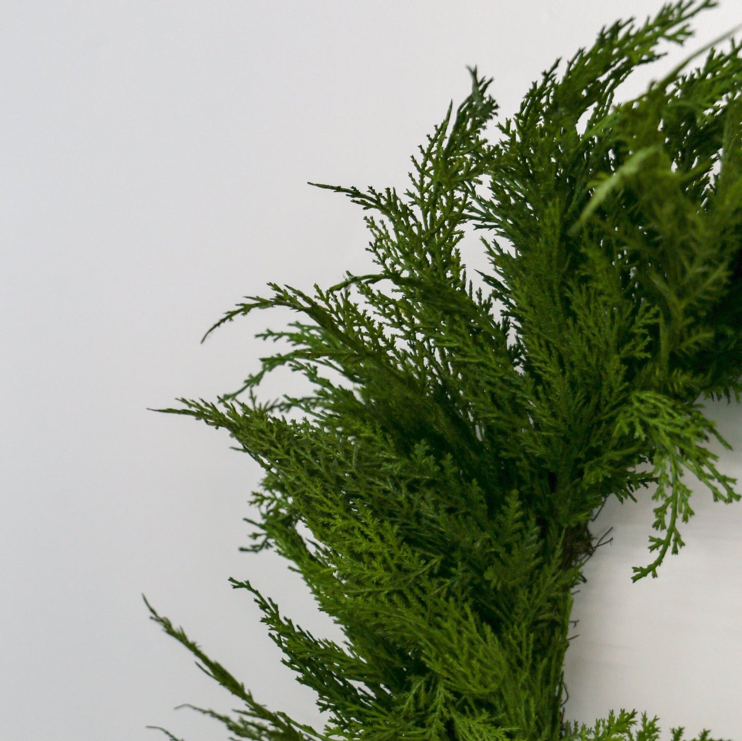 Faux Cedar Wreath | Small | 24 - inch - Knot and Spool