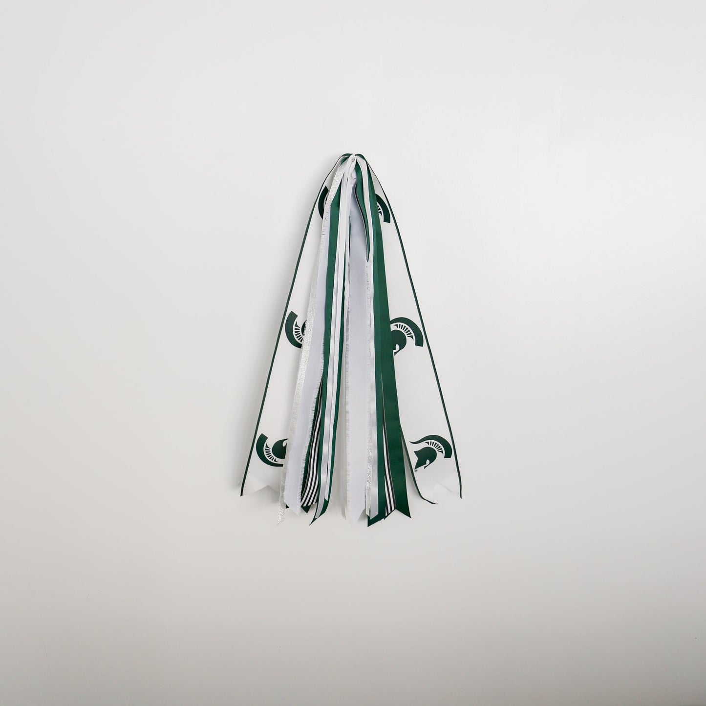 Michigan State Spartans RIBBON SET™ (without Bow) - Knot and Spool