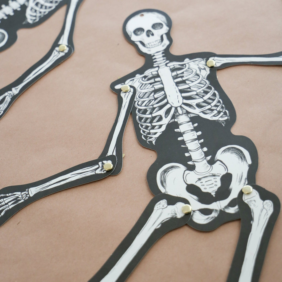 Sir Skeleton - Knot and Spool