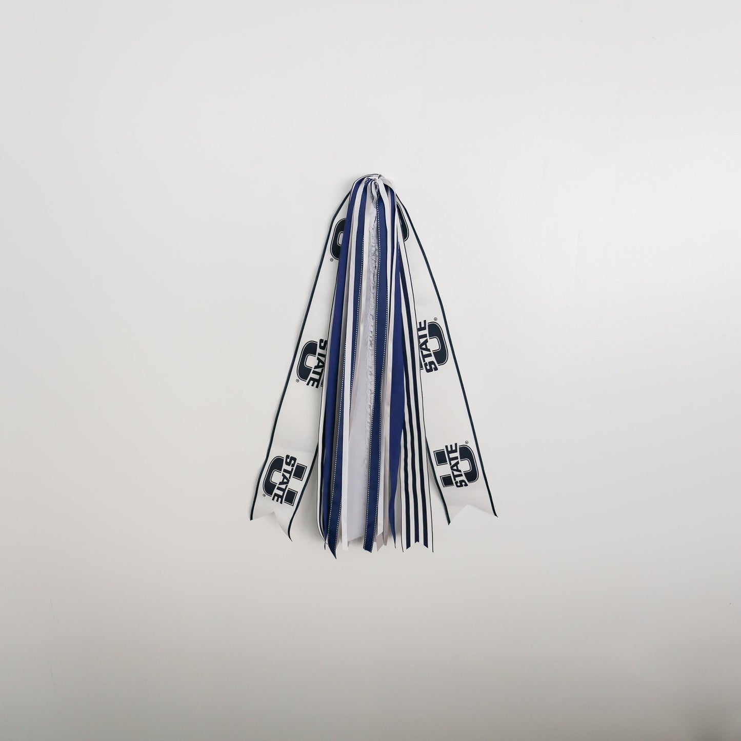 Utah State Aggies RIBBON SET™ (without Bow) - Knot and Spool