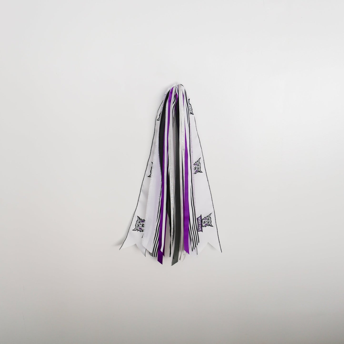 Weber State Wildcats RIBBON SET™ (without Bow) - Knot and Spool
