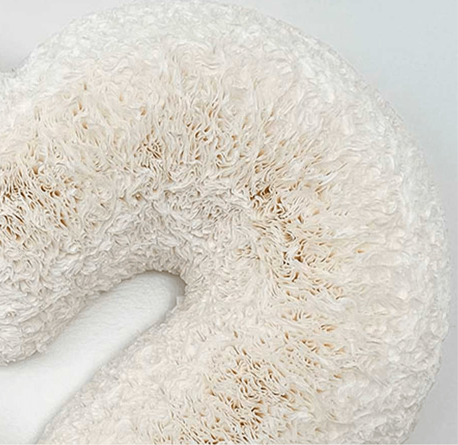 White Heart Coffee Filter Wreath - Knot and Spool