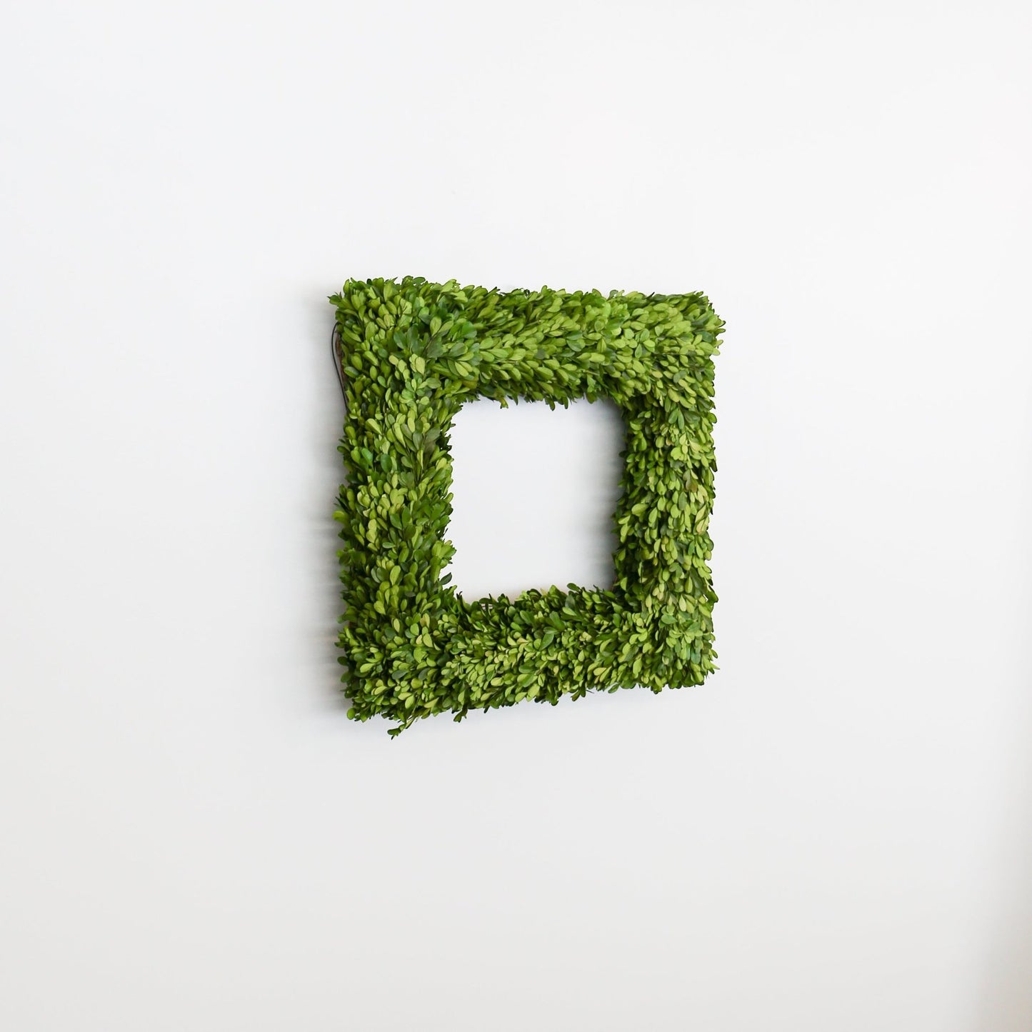 20 Inch Square Preserved Natural Boxwood Wreath - Knot and Spool