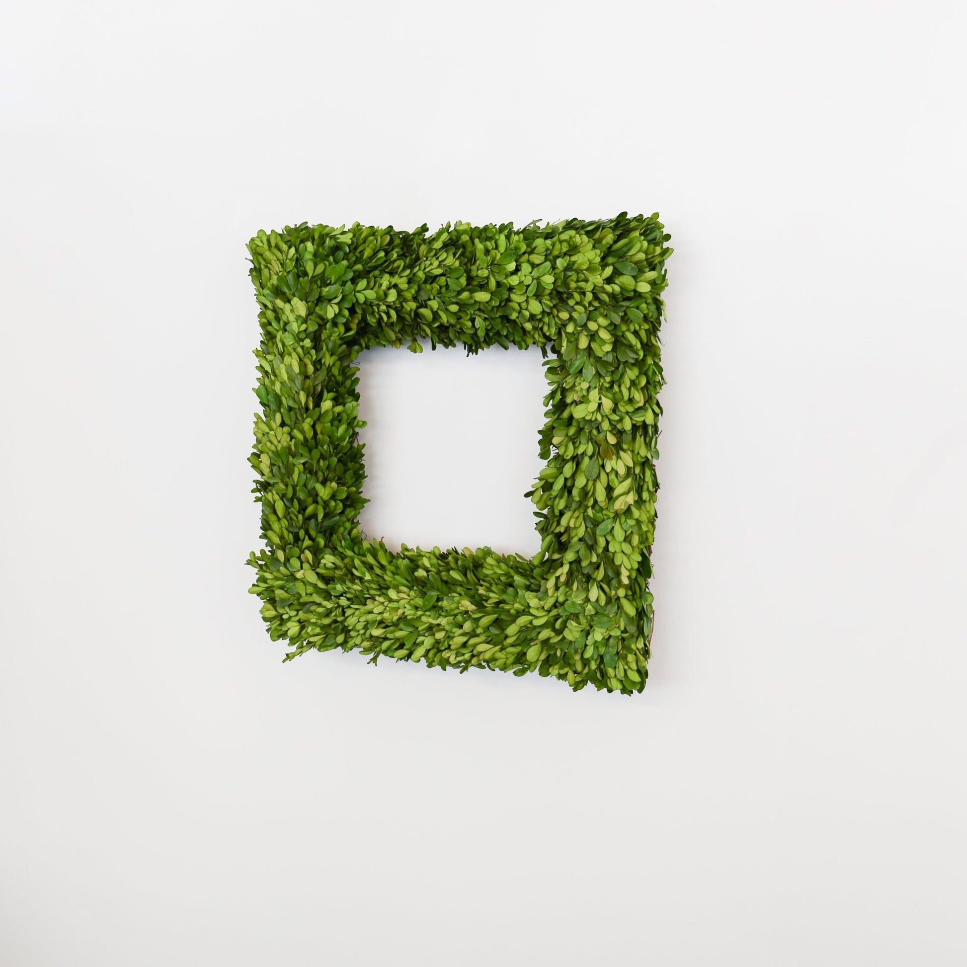 20 Inch Square Preserved Natural Boxwood Wreath - Knot and Spool