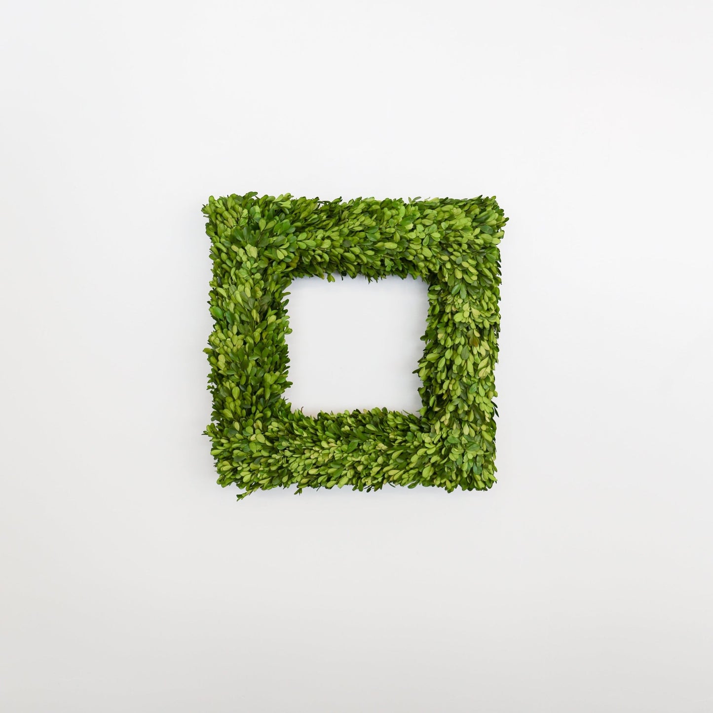 20 Inch Square Preserved Natural Boxwood Wreath - Knot and Spool
