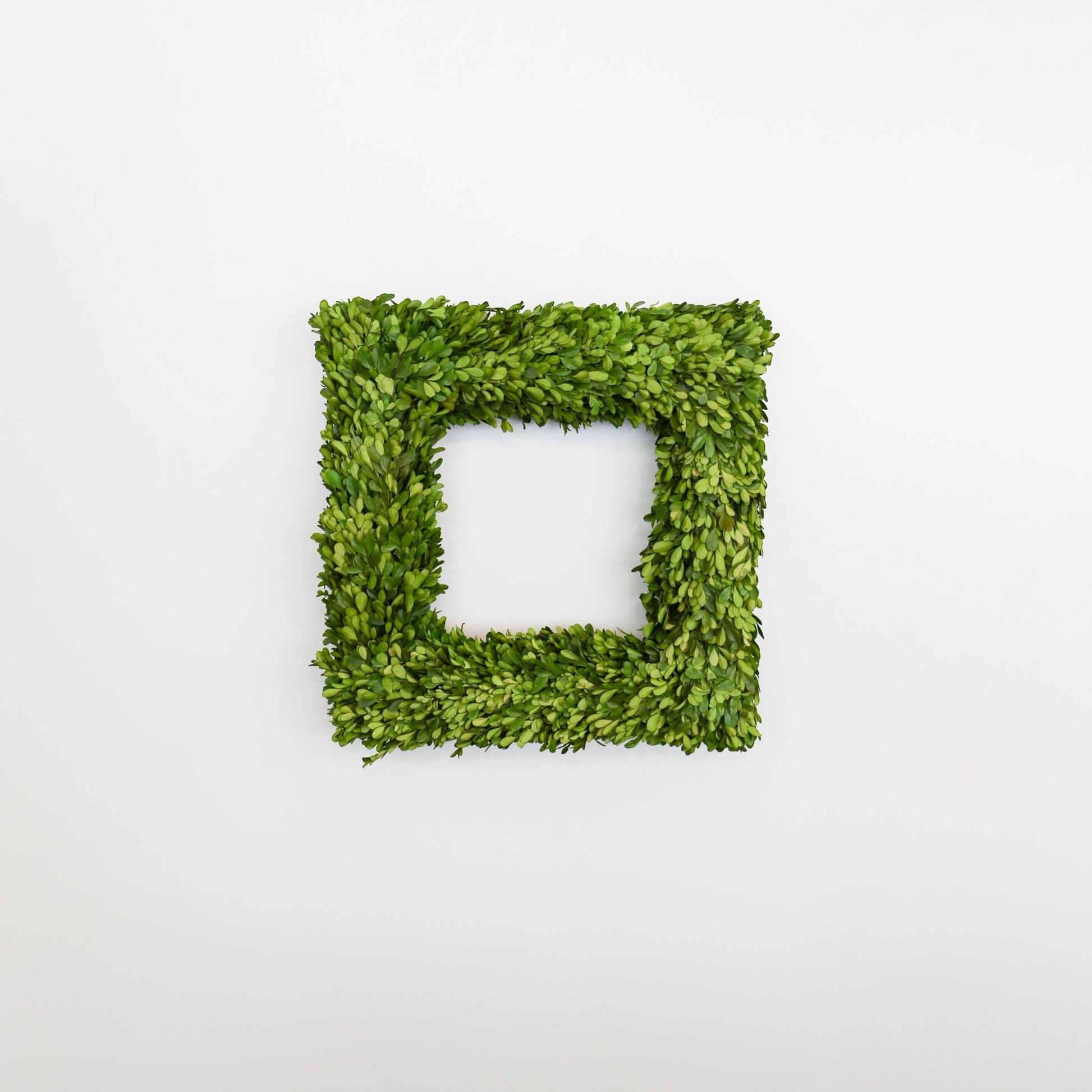 20 Inch Square Preserved Natural Boxwood Wreath - Knot and Spool