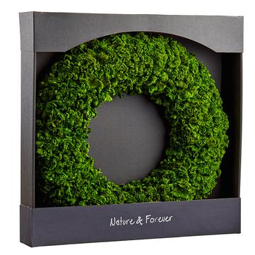 21" Preserved Celosia Wreath Green - Knot and Spool