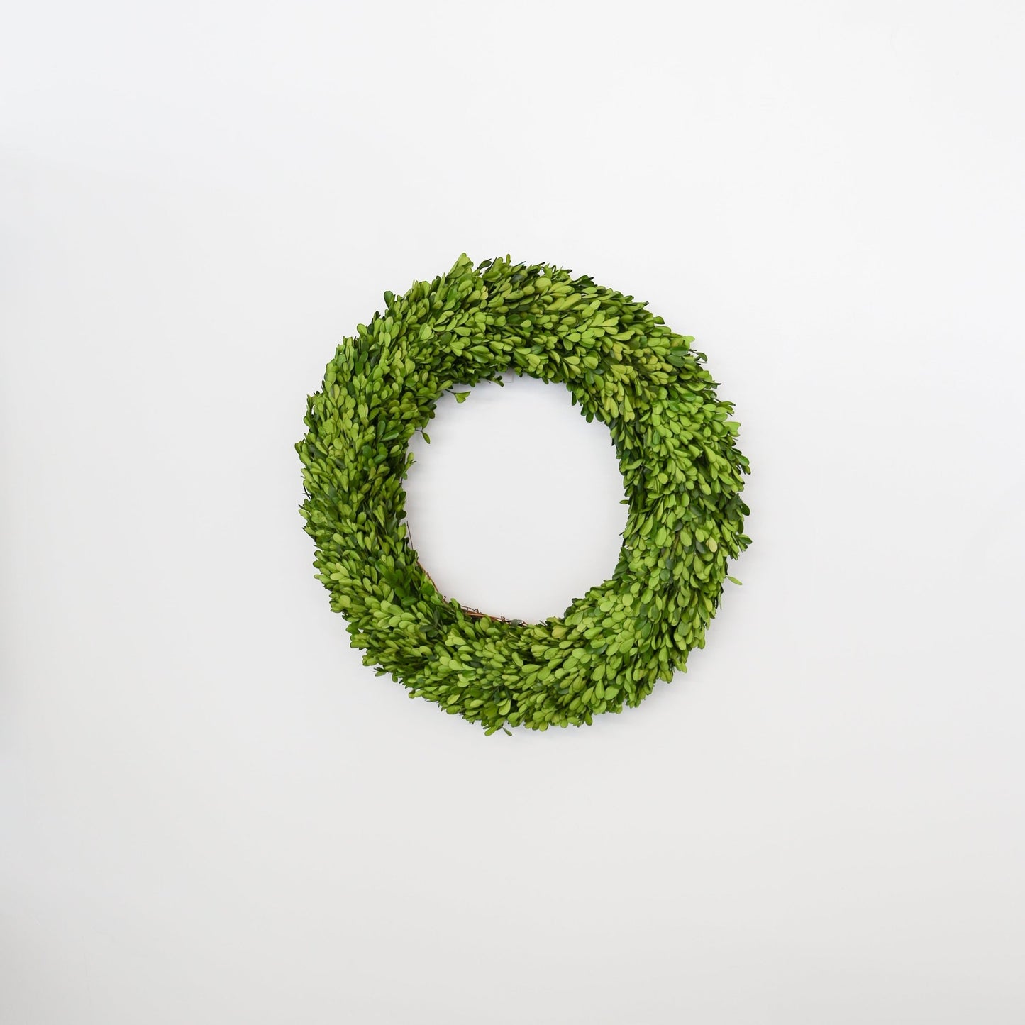24 Inch Round Preserved Natural Boxwood Wreath - Knot and Spool