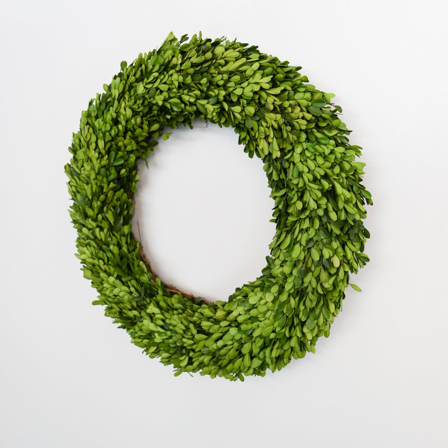 24 Inch Round Preserved Natural Boxwood Wreath - Knot and Spool
