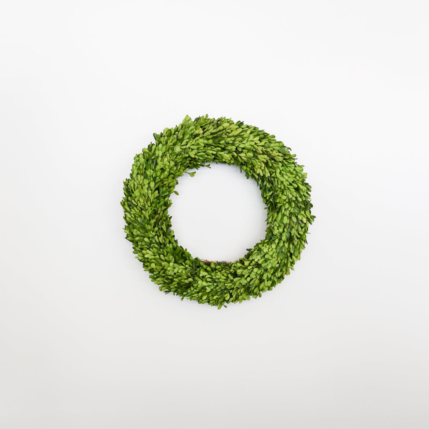 24 Inch Round Preserved Natural Boxwood Wreath - Knot and Spool