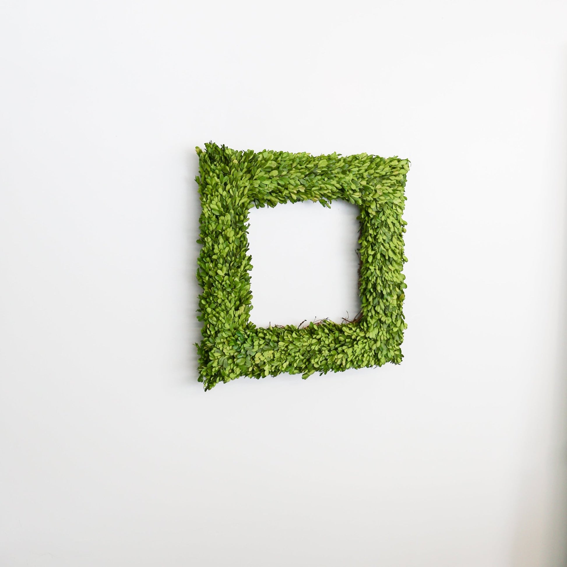 24 Inch Square Preserved Natural Boxwood Wreath - Knot and Spool
