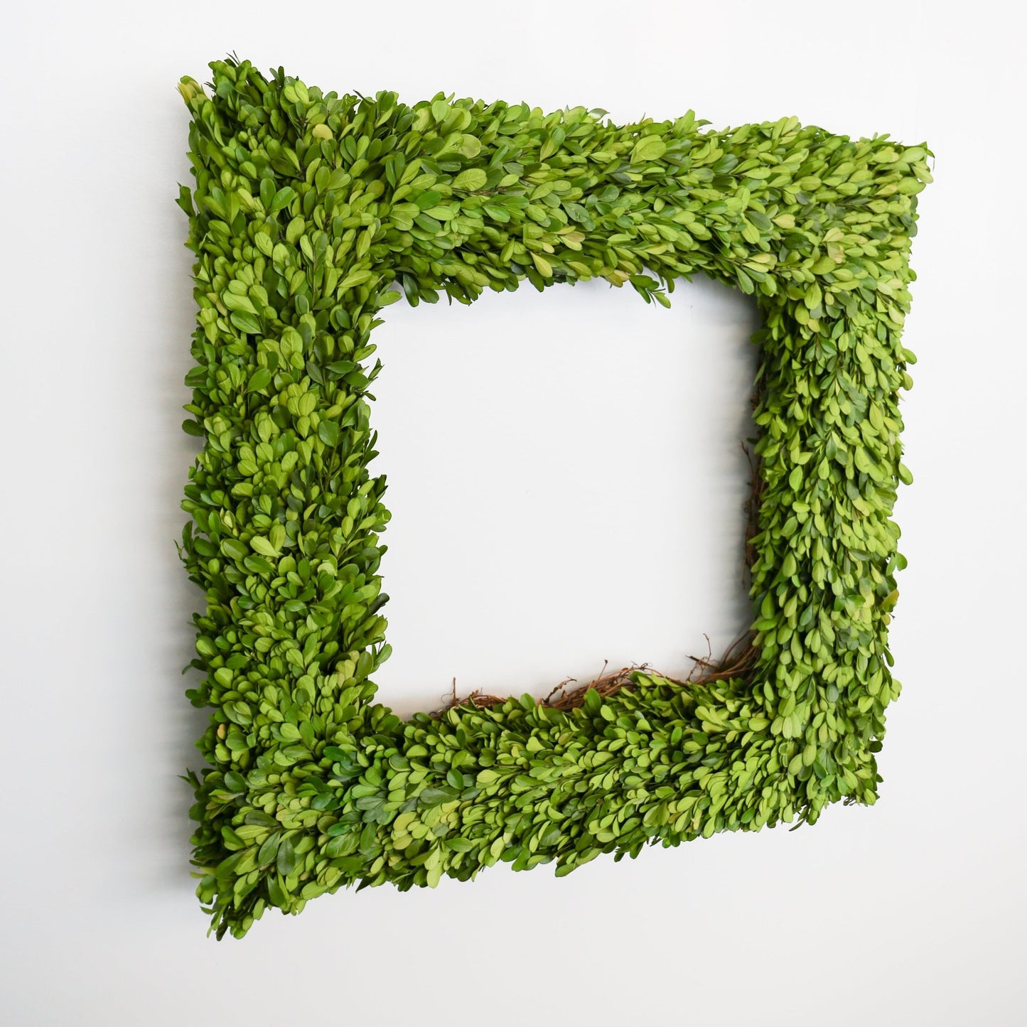 24 Inch Square Preserved Natural Boxwood Wreath - Knot and Spool