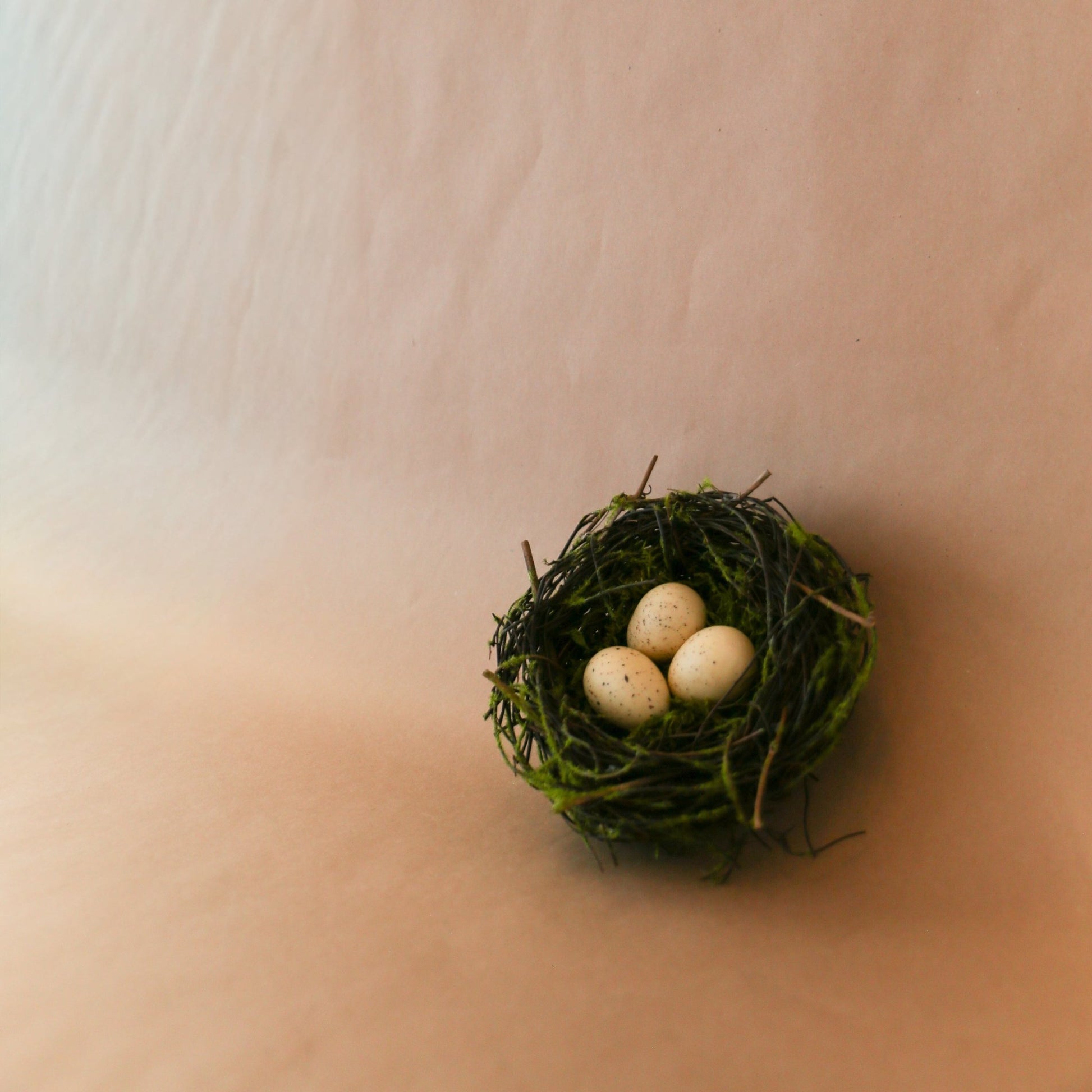 6 Inch Bird Nest with 3 Eggs - Knot and Spool