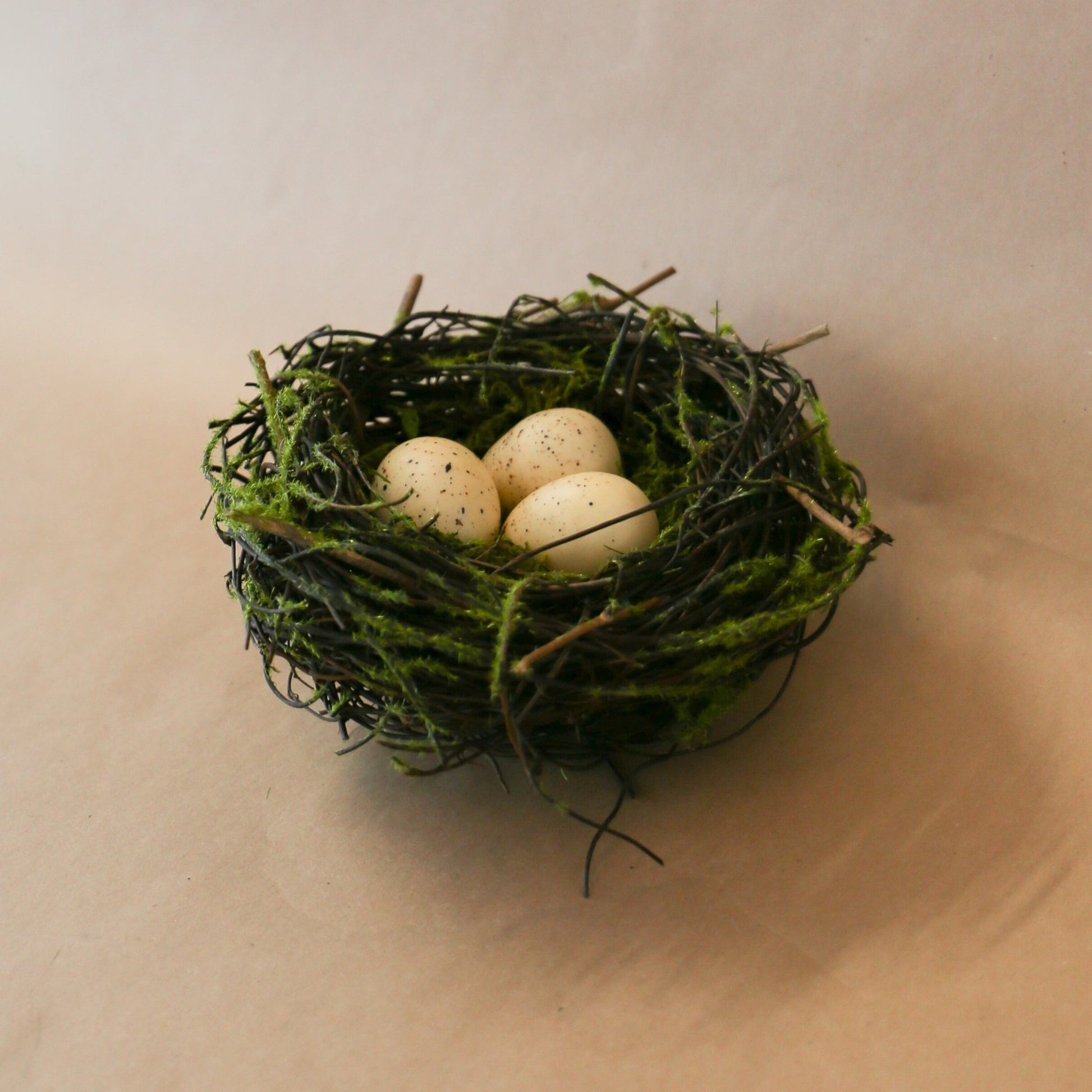 6 Inch Bird Nest with 3 Eggs - Knot and Spool
