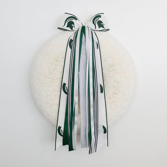Michigan State Spartans RIBBON SET™ (with Bow) - Knot and Spool