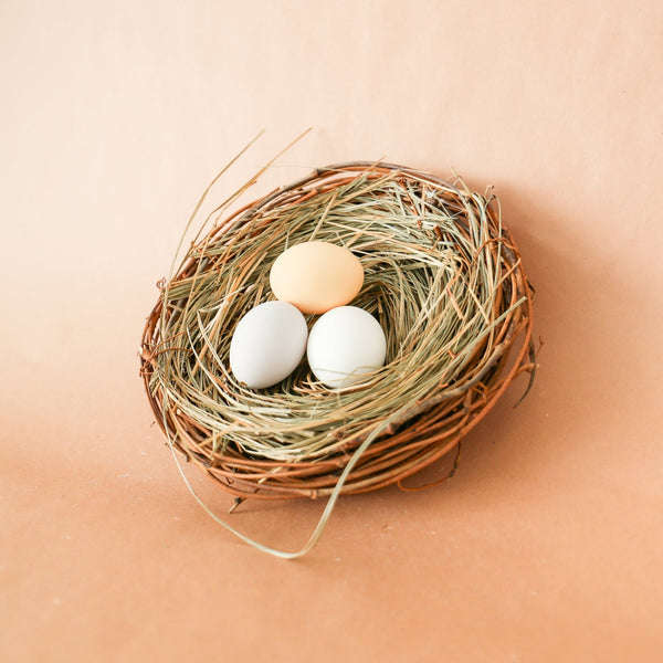 □Ｄ・イェンセン□Birds nest◇Ｂ＆Ｇmodel master◇希少◇ Rustic Bird's Nest | 9.45-in – Knot and Spool