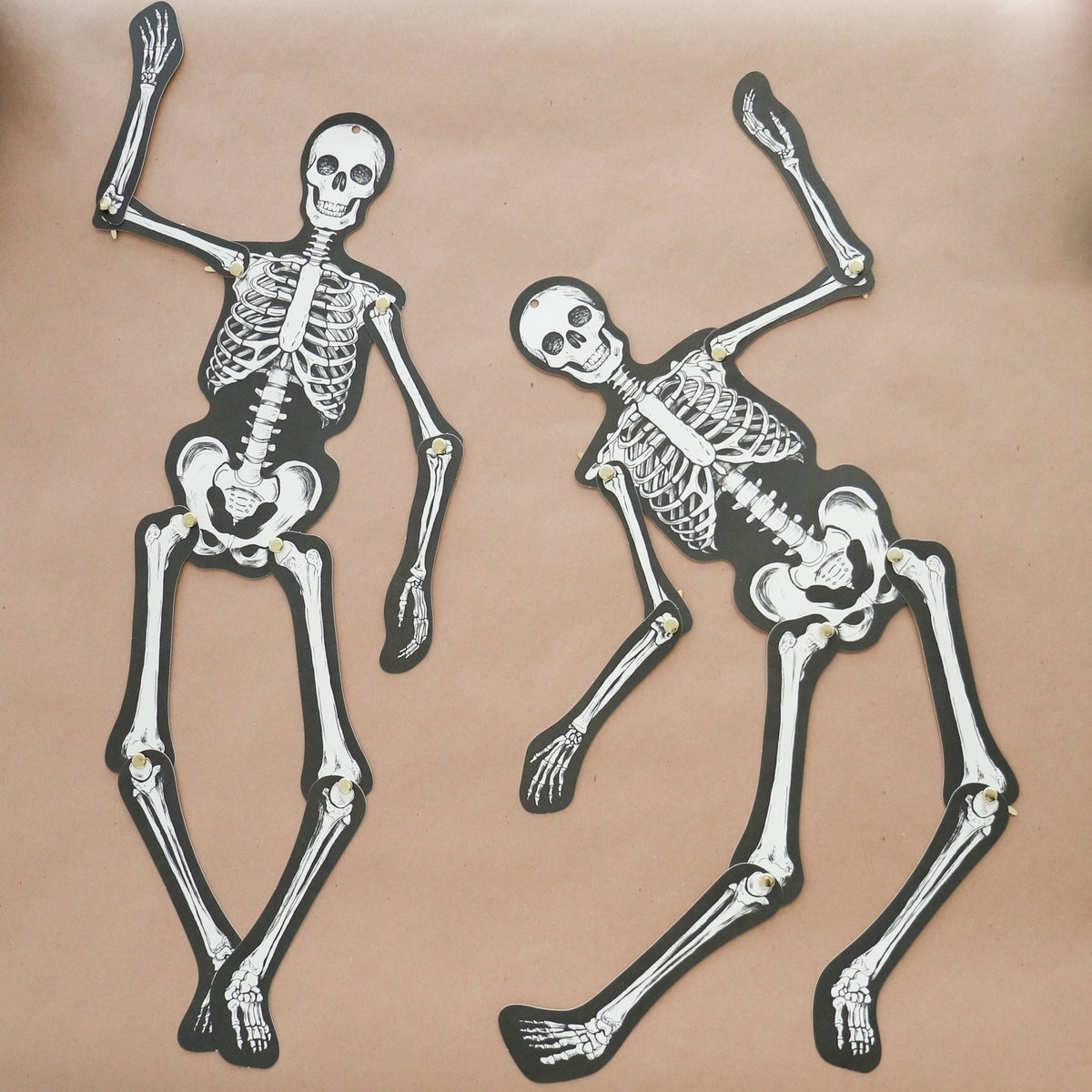 Sir Skeleton - Knot and Spool