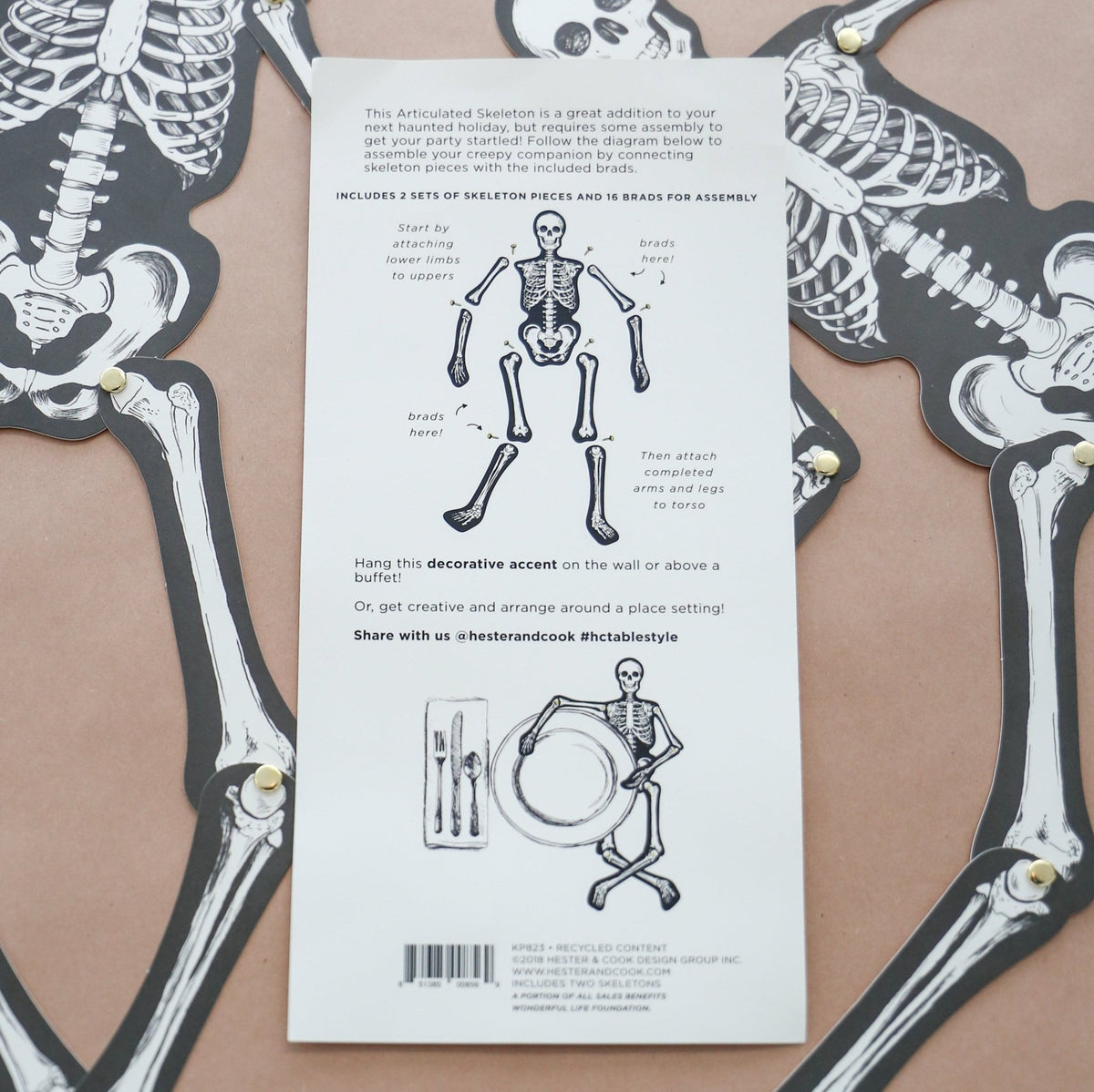 Sir Skeleton - Knot and Spool