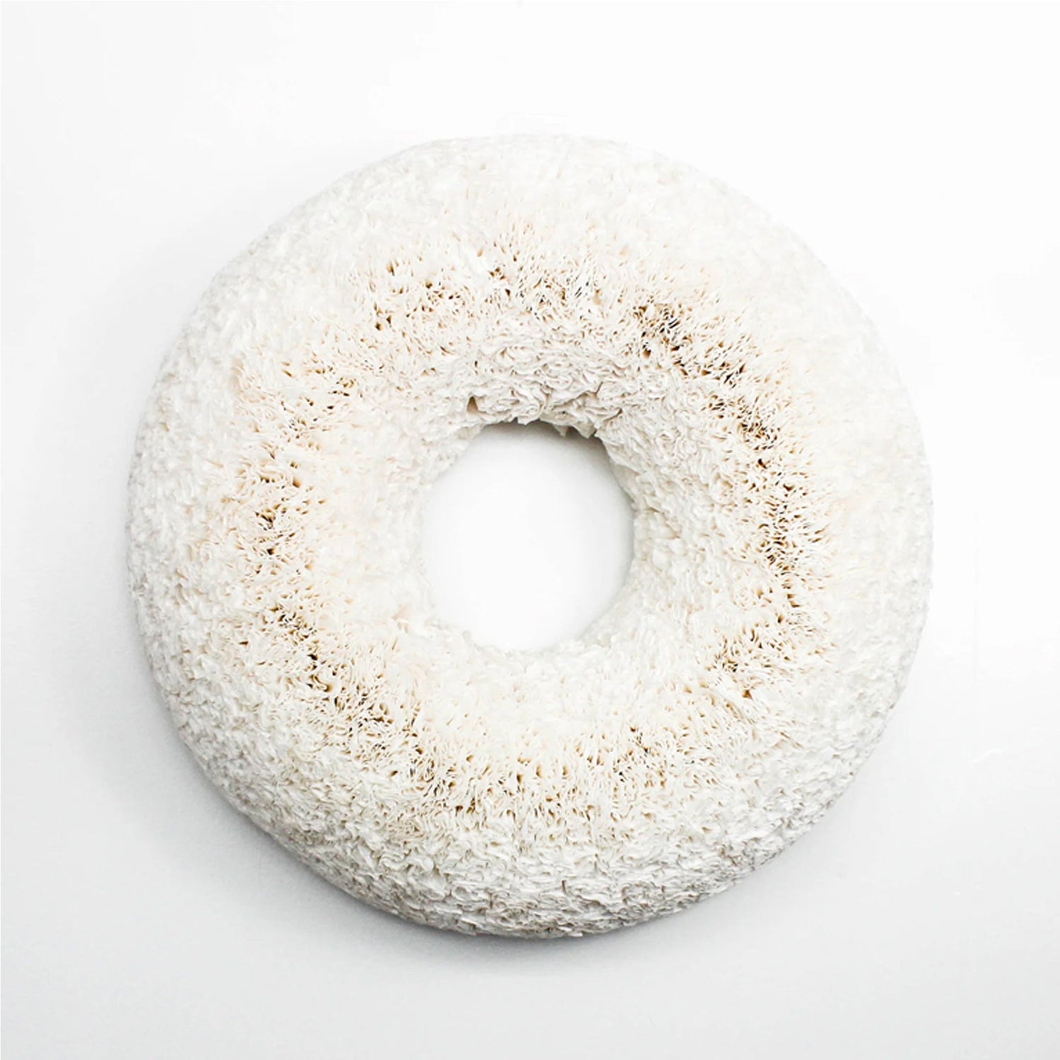 White Coffee Filter Wreath - Knot and Spool