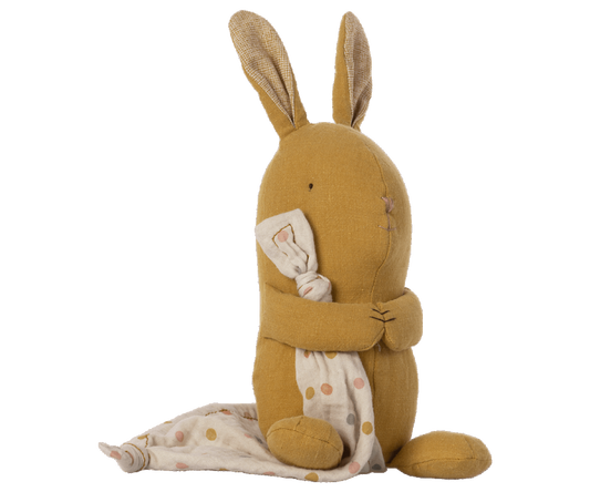 Maileg Bunny Lullaby Friends